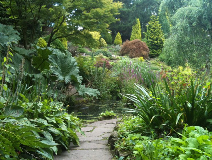 Fletcher Moss Botanical Garden, Manchester, United Kingdom